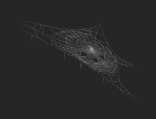 Spooky spider web hanging in dark realistic vector icon