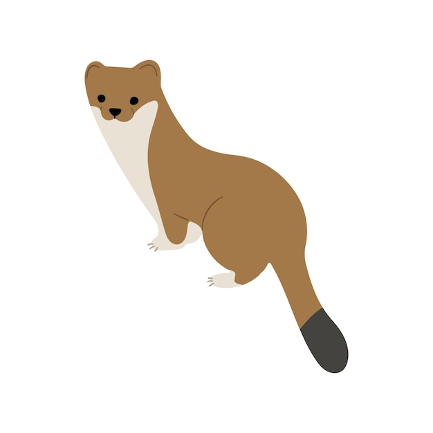 stoatsermine and weasels single 2