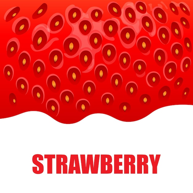 Strawberry sweet fruit illustration for web isolated on white background