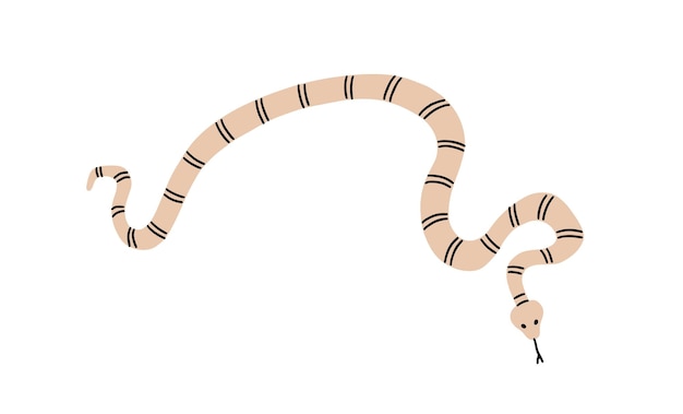 Striped snake with tongue crawling. Twisted crooked animal. Curvy bending body of reptile, top view. Flat vector illustration isolated on white background.