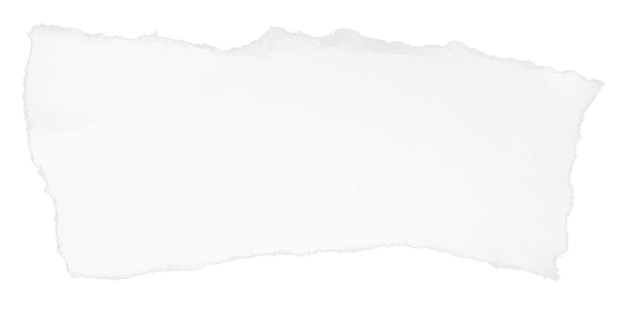 Stylized torn paper edge vector with realistic ripped effects for versatile creative projects