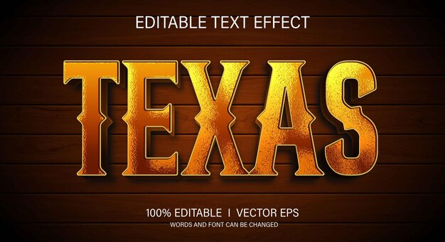 texas 3d vector text effect with modern style design