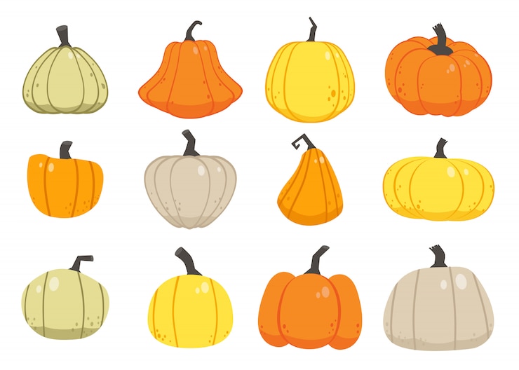 Vektori the seamless pattern of many of pumpkin . autumn pumpkin set