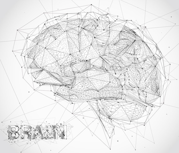 Threedimensional vector cyber brain neural network megadata processing
