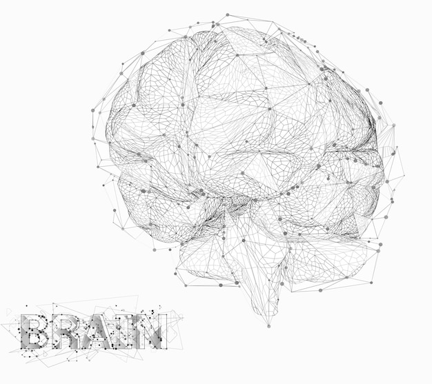 Threedimensional vector cyber brain neural network megadata processing