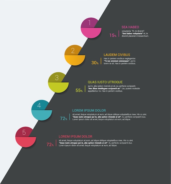 Timeline Step by step template Infographic
