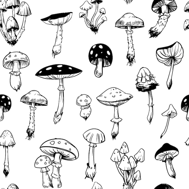 toadstools fly agarics poisonous mushrooms seamless pattern vector illustrations sketch style