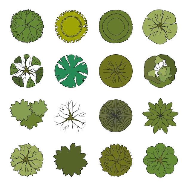 Trees icons with top view for landscape and architectural vector design