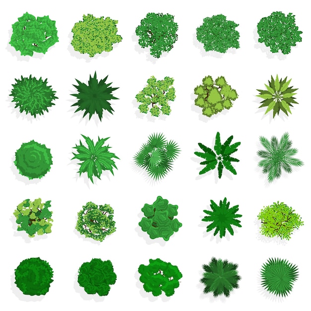 Trees top view. Green plants, bushes, shrubs and trees for landscape or architectural design