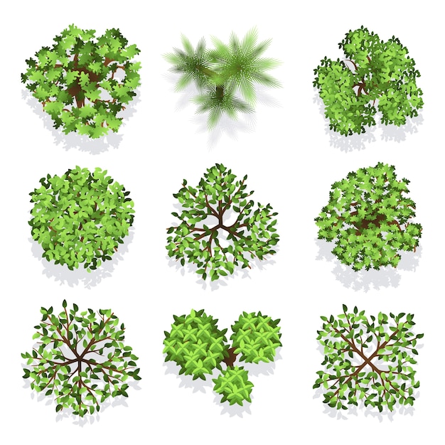 Trees top view vector set for landscape design and map. Green tree for garden, illustration trees fo