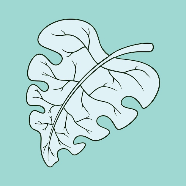 Tropical Leaf Illustration Vector Pack