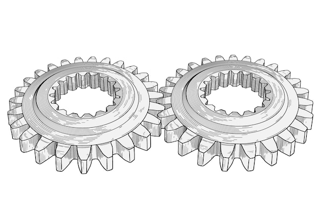 two metal gears in mesh part of the mechanism for transmitting torque