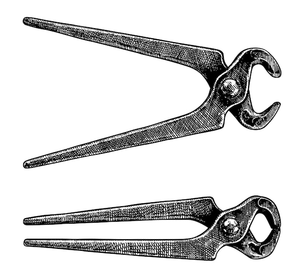 two pairs of scissors are shown with the number 8 on them
