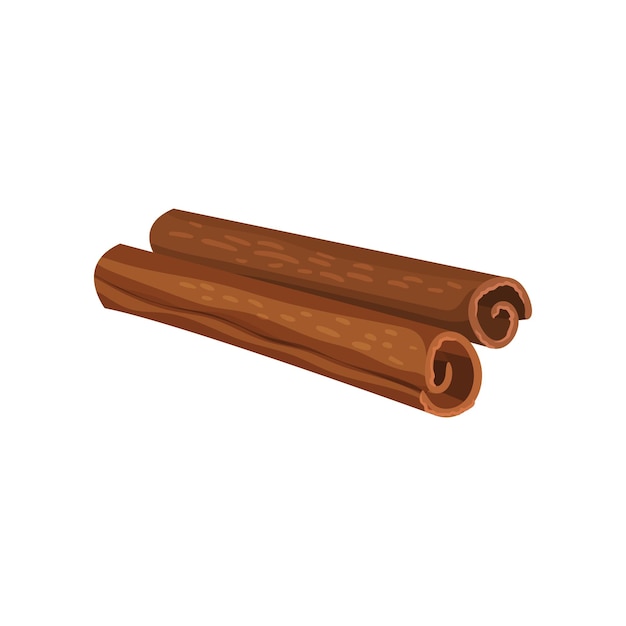 two rolled sticks of cinnamon aromatic condiment fragrant spice for food and drinks cooking ingredient graphic element for recipe book detailed flat vector design isolated on white background