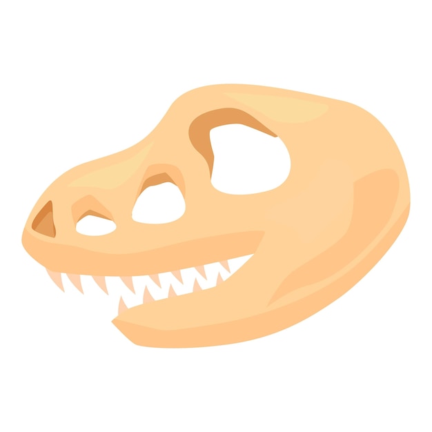 Tyrannosaurus rex skull showing teeth and eye sockets