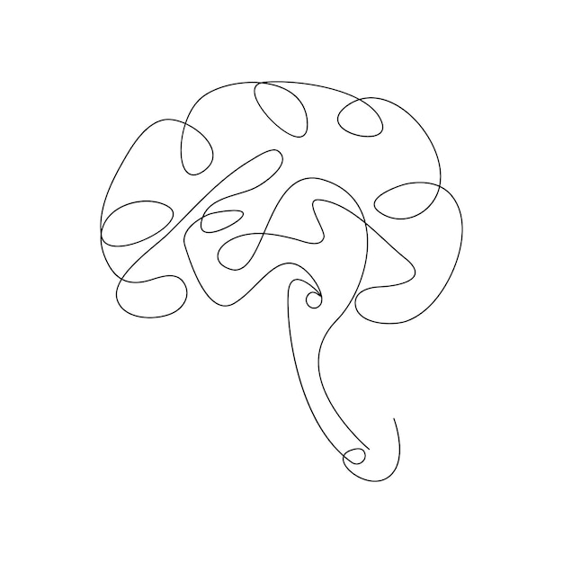 Vector continuous line drawing of a human brain for medical design on white background