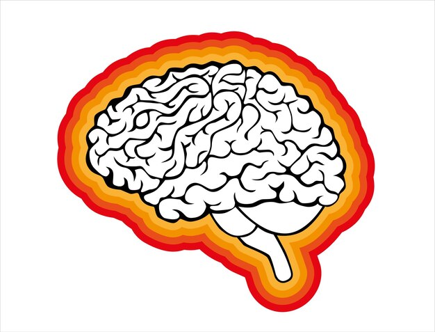 vector human brain with warm gradient color borders isolated on white background