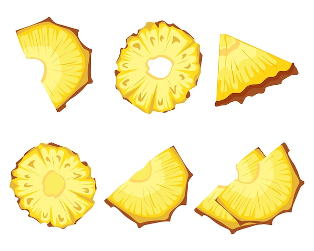 vector image of sliced pineapple slices solated white background citrus slices fruit icon set ripe
