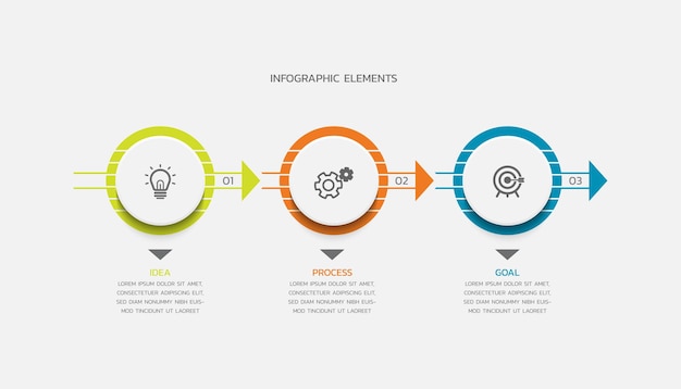 vector infographics business template design