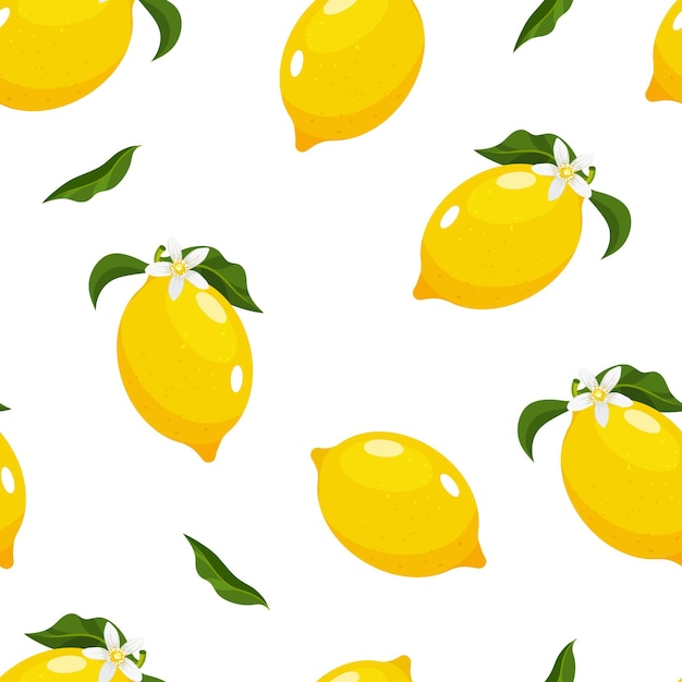 Vector lemon pattern with whole lemon fruits leaves and blossoming flowers