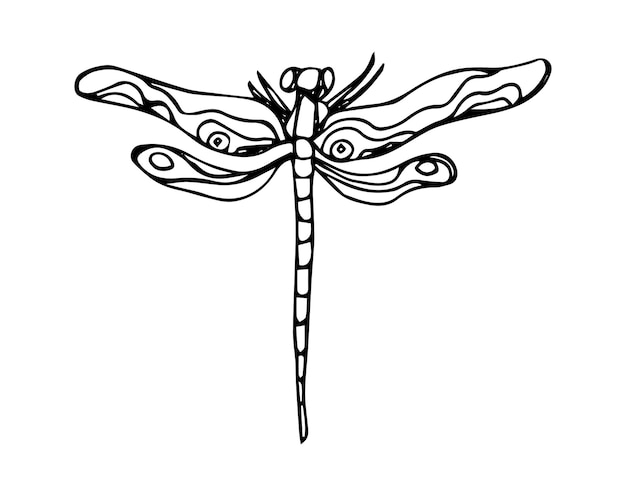 Vector outline dragonfly illustration isolated on white.