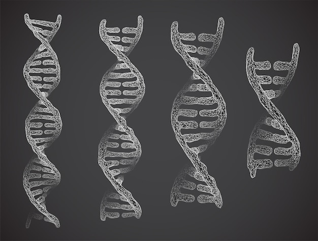 Vector part of the human dna 3d triangular abstract style