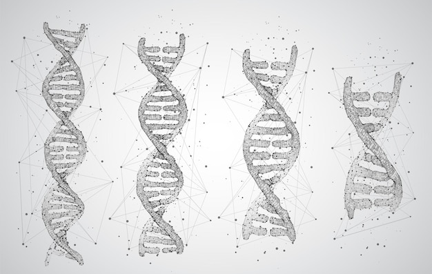 vector part of the human dna 3d triangular abstract style