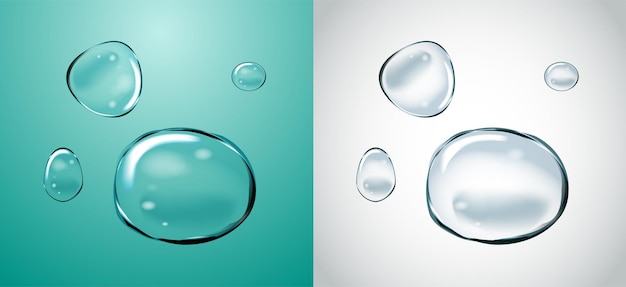 Vector Soap Water Bubbles Set Transparent Isolated Realistic Design Elements Can be used with any Background