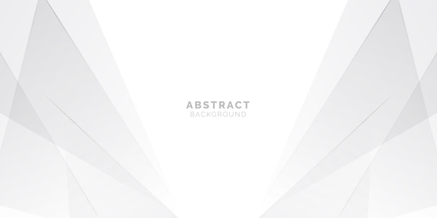 Vector soft gray and white abstract background design with luxurious effect vector illustration