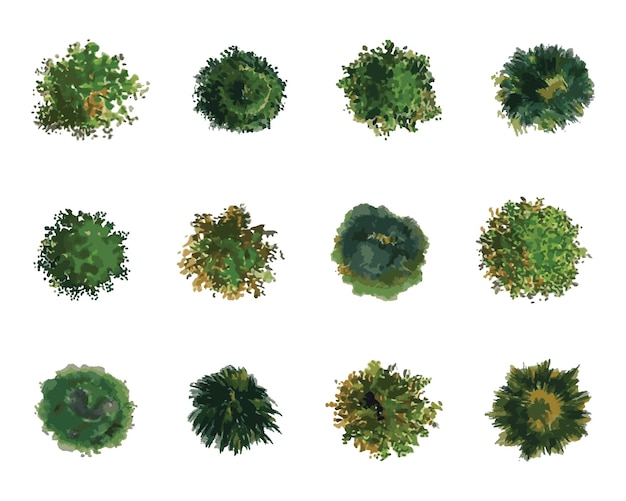 vector top view of trees and bushes vector illustrations set landscape elements for garden park o