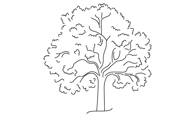 Vector Trees outline on a white background