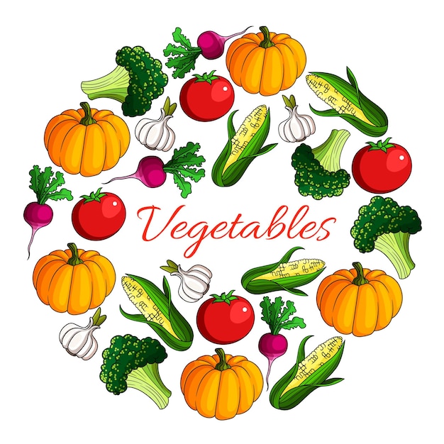 Vegetables harvest poster of vegetarian veggies