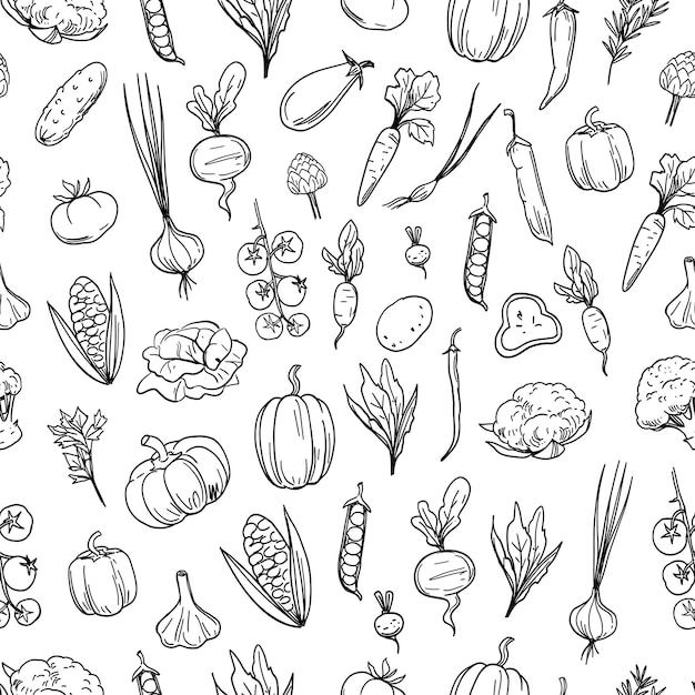 Vegetables set of sketch food illustrations seamless pattern vector hand drawn monochrome
