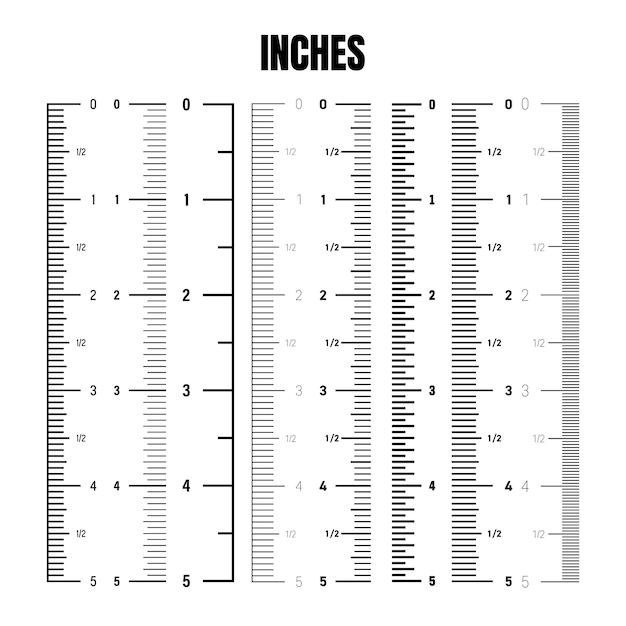 Vertical inch scale for measuring length or height various measurement scales with divisions ruler