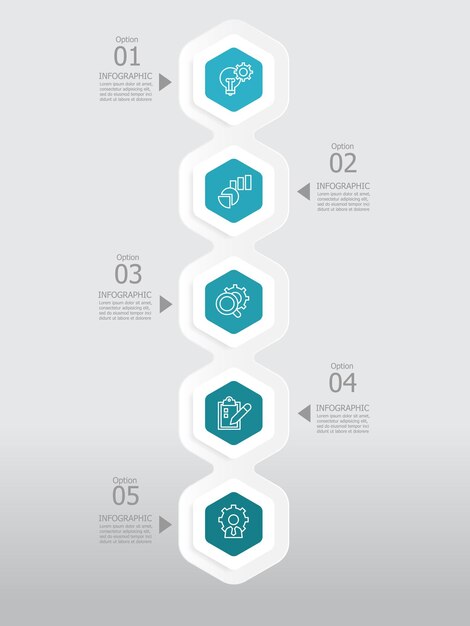 vertical round hexagon steps timeline infographic element report background with business line icon 5 steps
