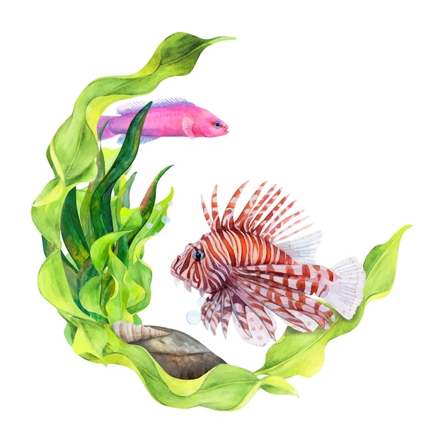 watercolor drawing circle frame from curved ribbon algae bottom stone cone shell lionfish and
