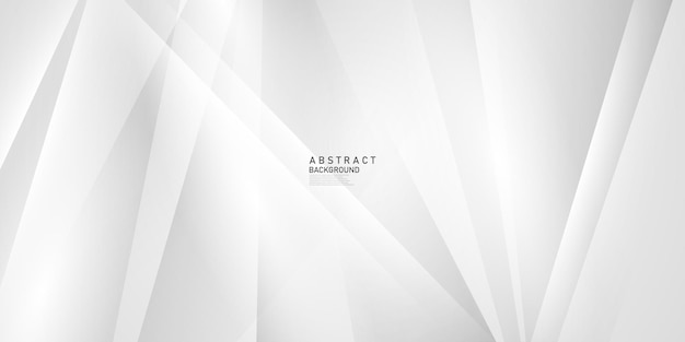 white and gray abstract background modern design vector illustration
