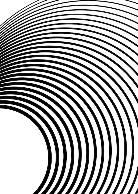 White black color Linear background Design elements Wave of many gray lines Protective layer banknotes certificates template Vector lines of different thicknesses from thin to thick EPS10