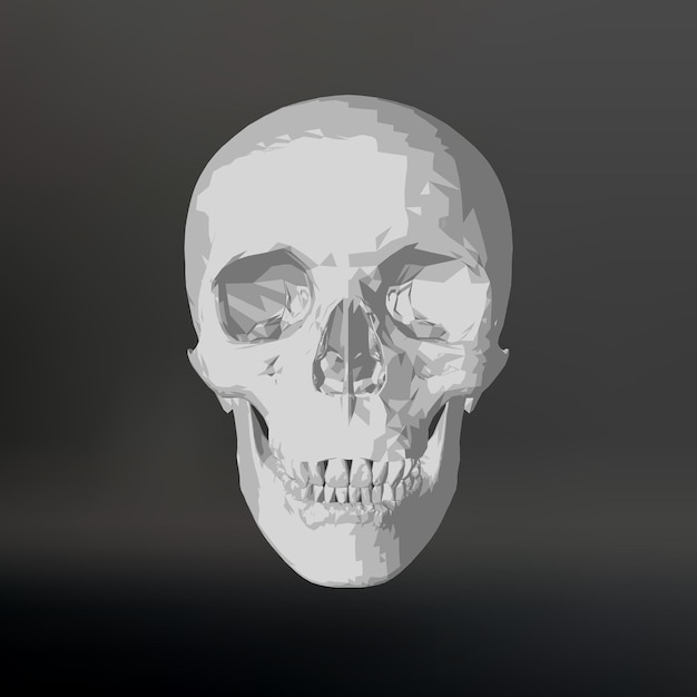 White skull on black background.