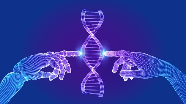Wireframe DNA sequence molecules structure mesh. Hands of robot and human touching on DNA connecting in virtual interface on future.