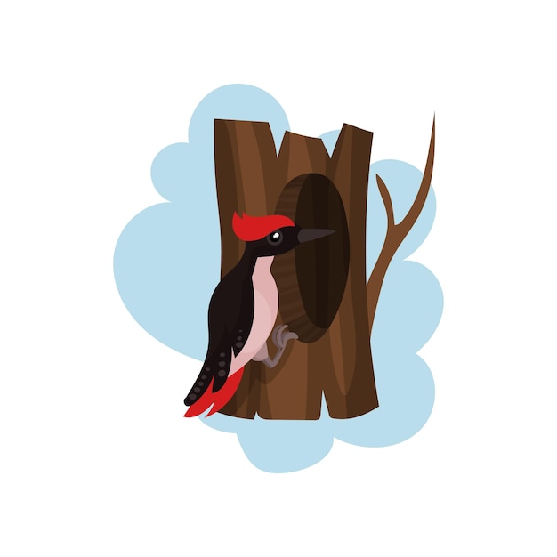 Woodpecker on a hollow tree hollowed out old tree and cute bird vector Illustration on a white background