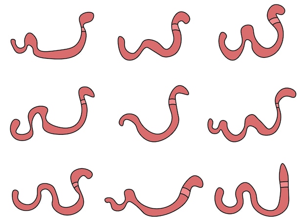 worm design illustration isolated on white background