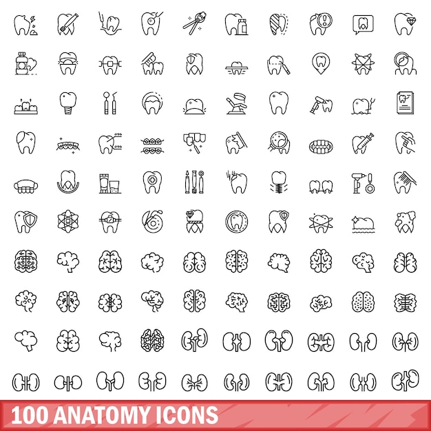 100 Ikon Anatomii Ustawia Styl Konturu