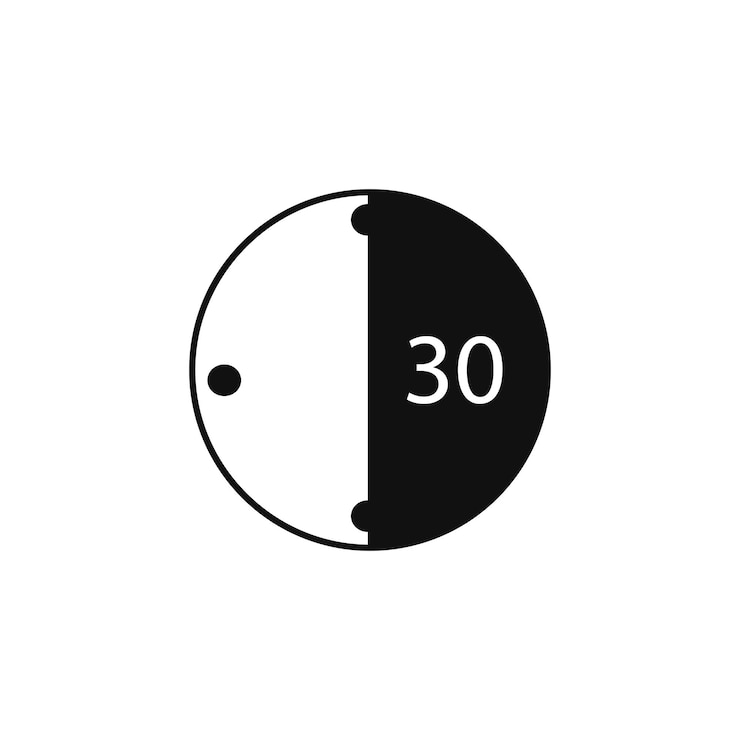 Wektor 30 minut ikona typu wektora
