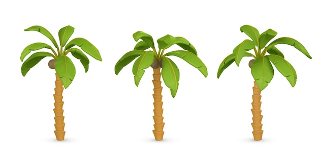 3d Cute Cartoon Tropikalna Palma Realistyczne Drzewo Dżungli Na Białym Tle Obiekt Letni Ilustracja Wektorowa