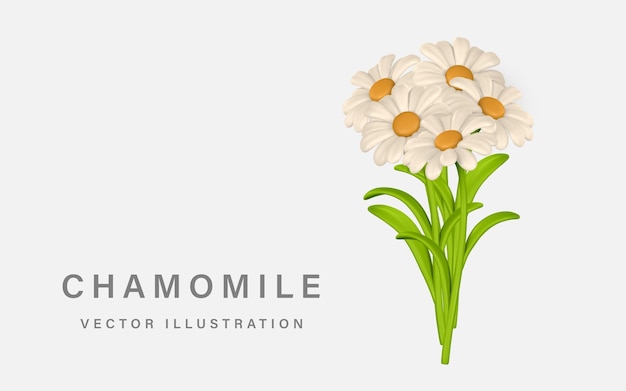 Plik wektorowy 3d cute kolorowe kilka rumianków kwiat daisy w stylu kreskówki ilustracja wektora