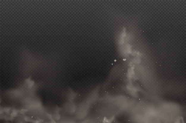 3d kurz na ciemnym przezroczystym tle. Pył Dirty Cloud Particles w zanieczyszczeniu powietrza i Smog Gog. Chmury wybuchowe w City Smog,