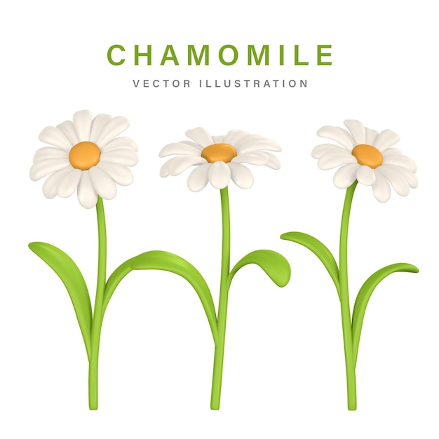 Plik wektorowy 3d śliczny kolorowy kwiat rumianku daisy w stylu kreskówki ilustracji wektorowych