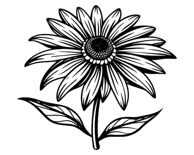 Plik wektorowy a black and white drawing of a sunflower with leaves and leaves