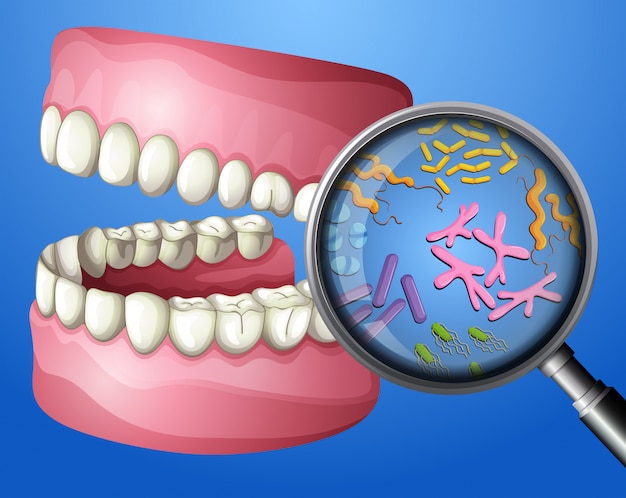 A Close-up Oral Bacteria